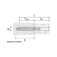 Multifunktionsrahmendübel MFR SB Torx verzinkt