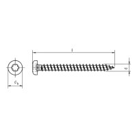 Spanplattenschraube Pan Head verzinkt Vollgewinde Torx